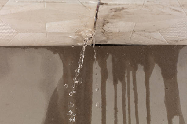 Professional Burst Pipe Cleanup technician working in Ellinger, TX